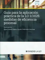 GUIA PARA LA APLICACION PRACTICA LO 1/2025,